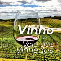 gallery/vinho do vale dos vinhedos editado 2